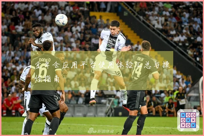 金年会应用平台使用体验汇总与操作指南